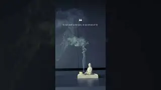 Present Moment Mastery: Buddha's Wisdom for a Peaceful Life 💫 #Shorts