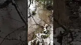 🎣 Whatever the conditions, the angling show continues #fishing #streamfishing