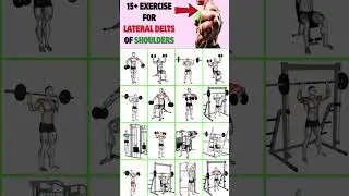 Top 16 Exercise For Lateral Deltoid of Shoulder #workout #shoulderworkout