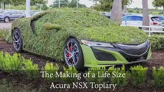 John Eagle Acura NSX Topiary