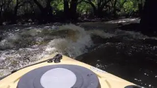 Kayaking on the Alapaha River in Georgia.