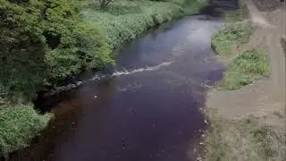 Waimea Swinging Bridge