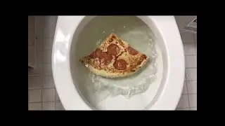 Will it Flush? - 2017 Flushing Compilation