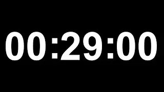 29 Minute Timer ⏲️