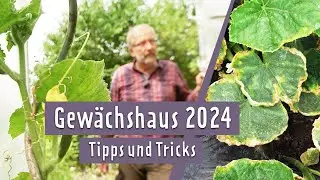 Gew&auml;chshaus 2024: Falschen Mehltau an Gurken behandeln | MDR Garten