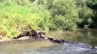 So sch&ouml;n ist es bei uns!  - Morgendliche Erfrischung im Gelbach...