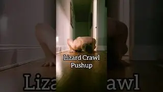 Lizard Crawl Pushup Primal Flow Move - Calisthenics Bodyweight Conditioning #flow #videos