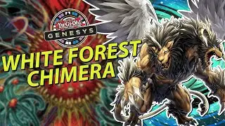 Профиль колоды «Химера Белый лес Азамины» + комбо | Yu-Gi-Oh! Genesys #розыгрыш
