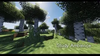 6 Hours of Calm Birch Forest Daytime Ambience | Minecraft Focus & Study Sounds