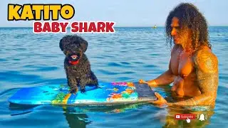KATITO A OSTENTAR NA PRAIA 2025 - PARTE 1