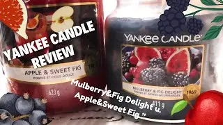 Yankee Candle  Mulberry & Fig Delight u  Apple & Sweet Fig  Review
