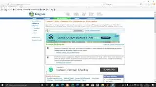 LINGOES - TRADUTOR INSTANT&Acirc;NEO DE TEXTOS