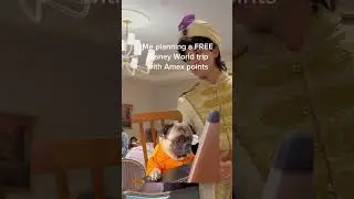 When Amex Points Pay for Disney