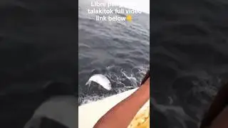 Free fish for a dish, talakitok #trevallyfish