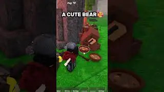 A CUTE BEAR 🥰 99 nights in the forest #roblox #99nightintheforest #shorts