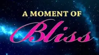 Wwe segments a moment of Bliss logo animation 