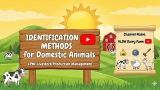 Identification method of animal #LPM Class VLDD #veterniary lpm