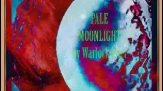 Warlock Poet/Came to me at night #originalmusic #indigenousmusic #songwriter #acousticoriginal