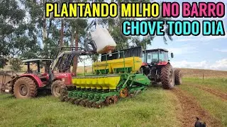 Plantando MILHO safrinha para silagem (Plantando com chuva)