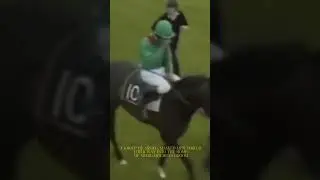 What do you think happened to shergar?? #mystery #ireland #racehorse #horse #viral #bigviews
