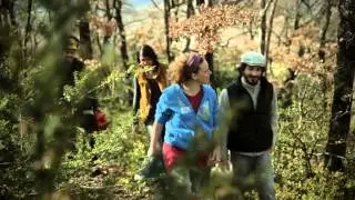 Dryade - Bois de chauffage solidaire et responsable