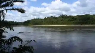 Wild Watch Peru - Wildlife & Nature Tours at Manu National Park