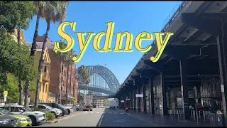 호주 시드니 여자 혼자 여행🇦🇺|시드니 맛집|페더데일 동물원|블루마운틴| 왓슨스비치&본다이비치🌊