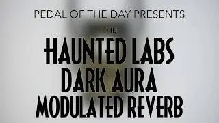 Haunted Labs Dark Aura Modulated Reverb