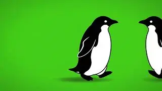 Penguin Silhouette Waddle Loop Green Screen | Penguin Awareness Day Jan 20 NCR Asset 02