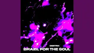 Brazil for the Soul