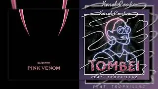 [HAPPY BDAY SAM KRYS!!!] Tombei X Pink Venom - BLACKPINK/Karol Conk&aacute; [mashup]