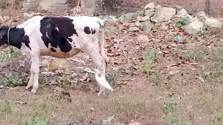 Nature&rsquo;s Cleaning Service | Something Unexpected in the Grass