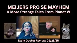 Pro Se Mayhem & Weird In Custody Appearances on 092325