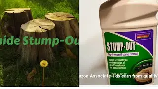 Bonide Stump-Out For Easier Stump Removal #products #marketing #doityourself #watch #amazon 