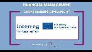 &Icirc;nvățare online TESIM - Implementarea proiectelor / Management financiar