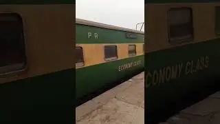 Train....chuk.chuk.chuk.chuk...🚃🚞