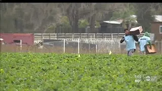 Inflation impacts local farmers as production costs rise