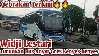 Gebrakan WIDJI LESTARI 🔥🔥Turunkan Bus Anyar Gress Kenyes-Kenyes