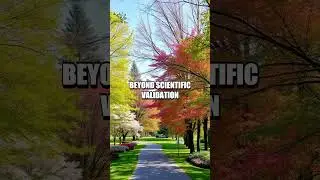Elevating Mental Health Through Nature Walks