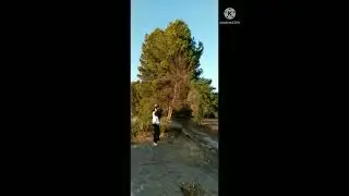 غروب الشمس@ضاية رومي