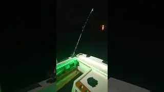 Sturgeon fishing north channel 2025 Catch the Fever HELLCAT RODS 🔥🎣#sturgeon #fishing #michigan