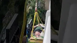 600-pound man rescued from apartment with crane