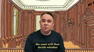 What is Judicial Review ?