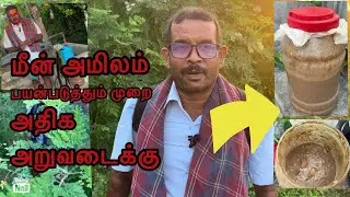 🐟மீன் அமிலம் பயன்படுத்தும் முறை| மீன் அமிலம் உபயோகங்கள்|Ragu jeyaa