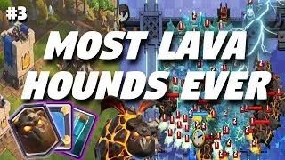 MOST LAVAHOUNDS EVER?!?!?(NEW WORLD RECORD)