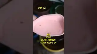 DAY 32 NA 1000 HOME MAKING GUPPY FISH FARM #breading #aquarium #fish #guppy #shots #tranding