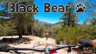 Black Bear Trail - Rim Nordic Bike Park - Big Bear, CA