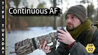 Объяснение принципа работы непрерывной автофокусировки | Советы по вторникам #2 (Фотография дикой...