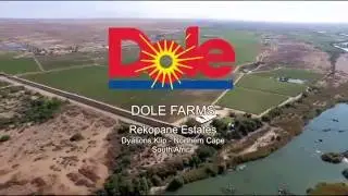 Dole South Africa - REKOPANE ESTATES