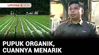 Berani Berubah: Inovasi Pupuk Organik & Media Tanam Tanpa Tanah, Cuannya Menarik | Liputan 6